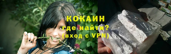 гидра Семилуки