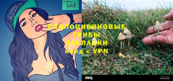 PSILOCYBIN Абинск
