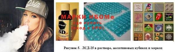 гидра Семилуки