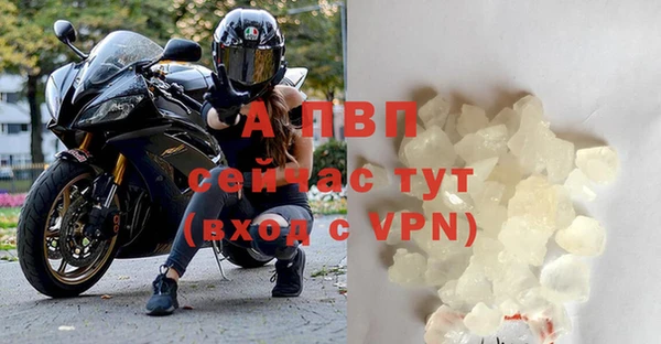 гидра Семилуки