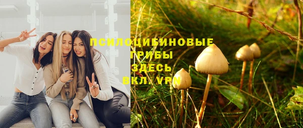 гидра Семилуки