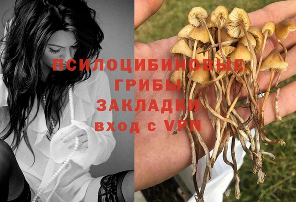 МДПВ Баксан